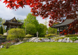 Japanischer Garten Düsseldorf